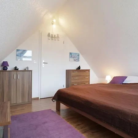 Schwannest 2 Groß Schwansee