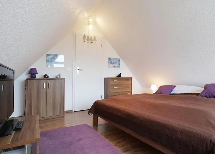 Schwannest 2 Groß Schwansee